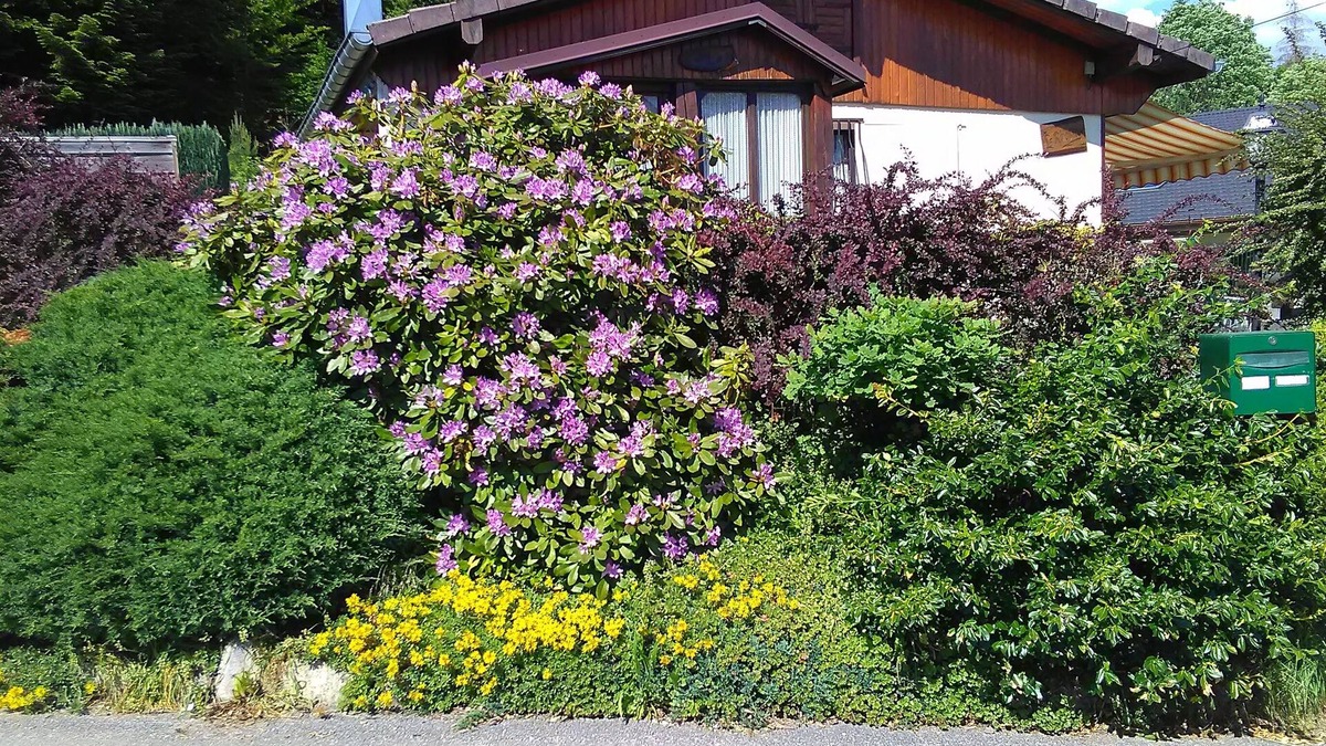 Saint-Ame House | Le Reposion, Chalet type house