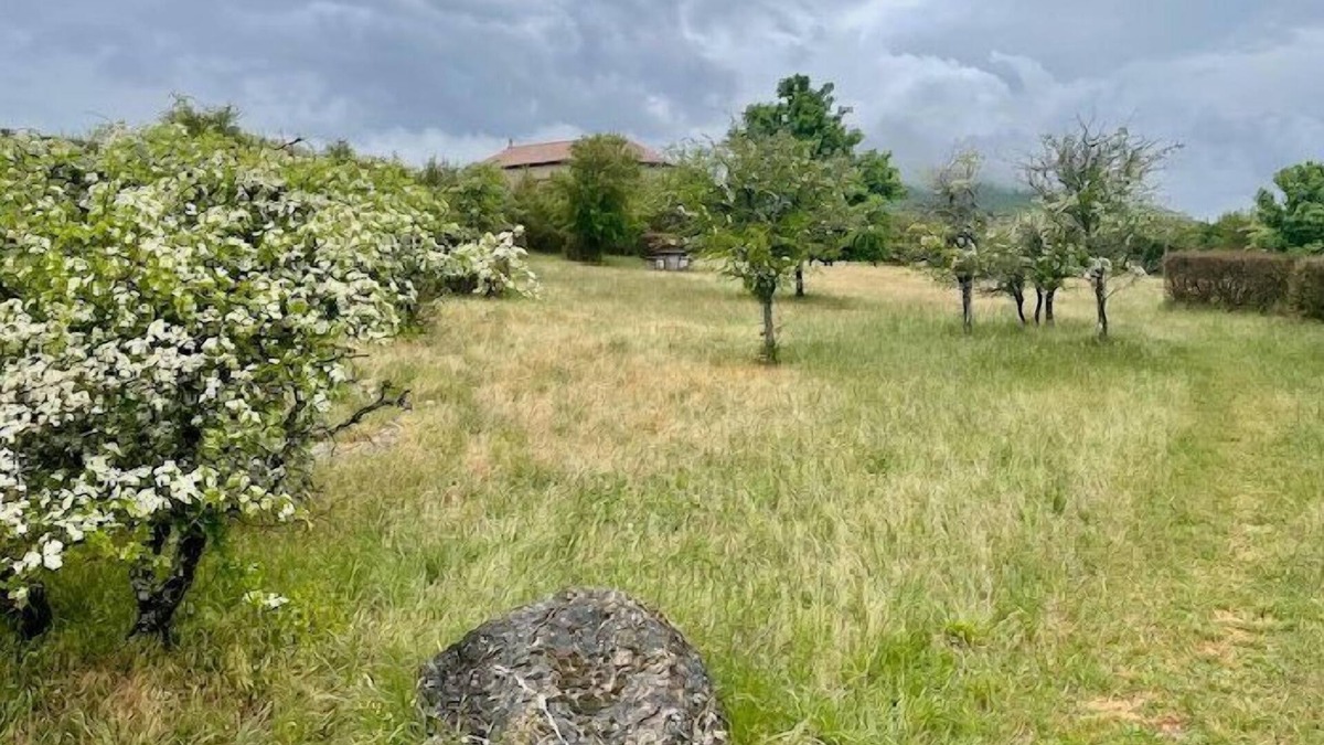 Le Caylar House | Le Rockastel