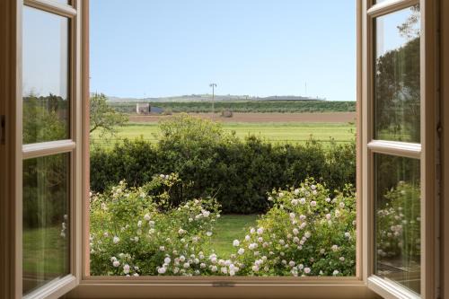 Piombino Apartment | Le Rose