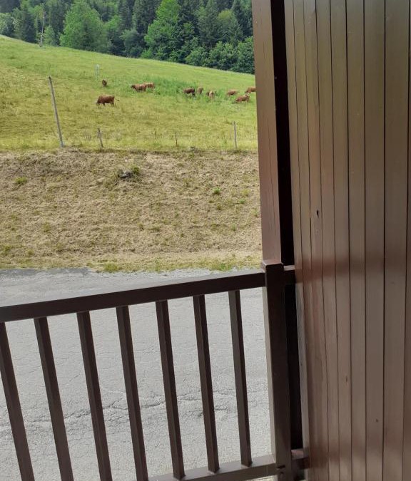 Aillon-le-Jerune Apartment | Le rossane