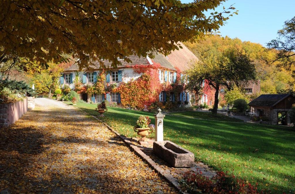 Murbach House | Le Schaeferhof