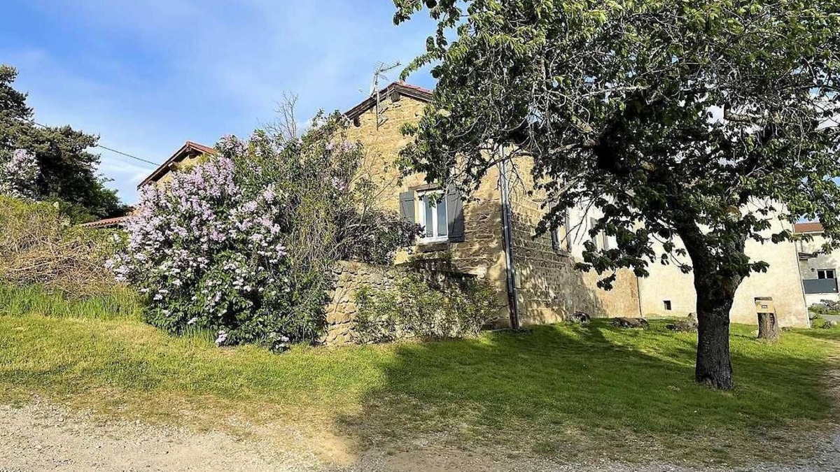 Thurins House | Le Soly - THURINS - Gîte