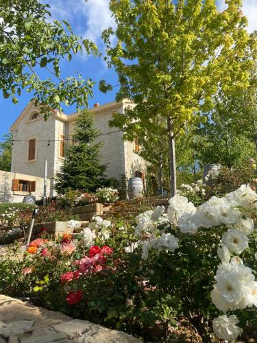 Bhamdoun Bed & Breakfast | Le Télégraphe de Belle-Vue