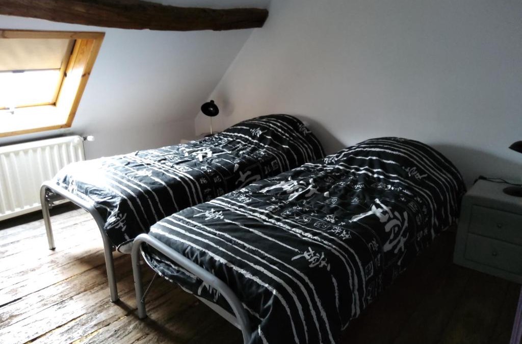 Mazee House | Le ternia