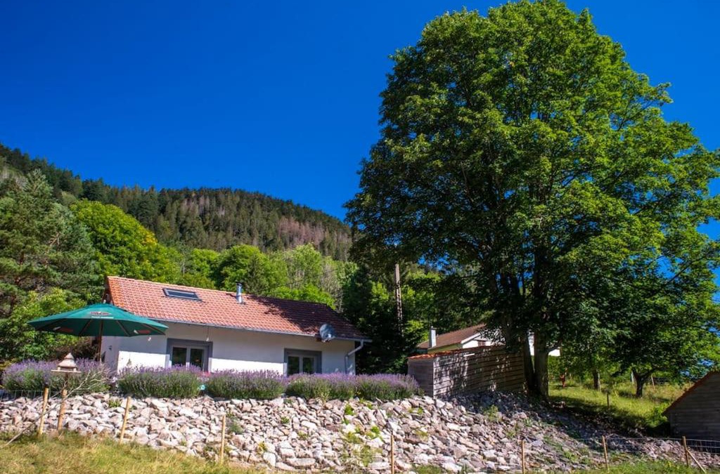 Le Valtin House | Le Valtin Gite au calme