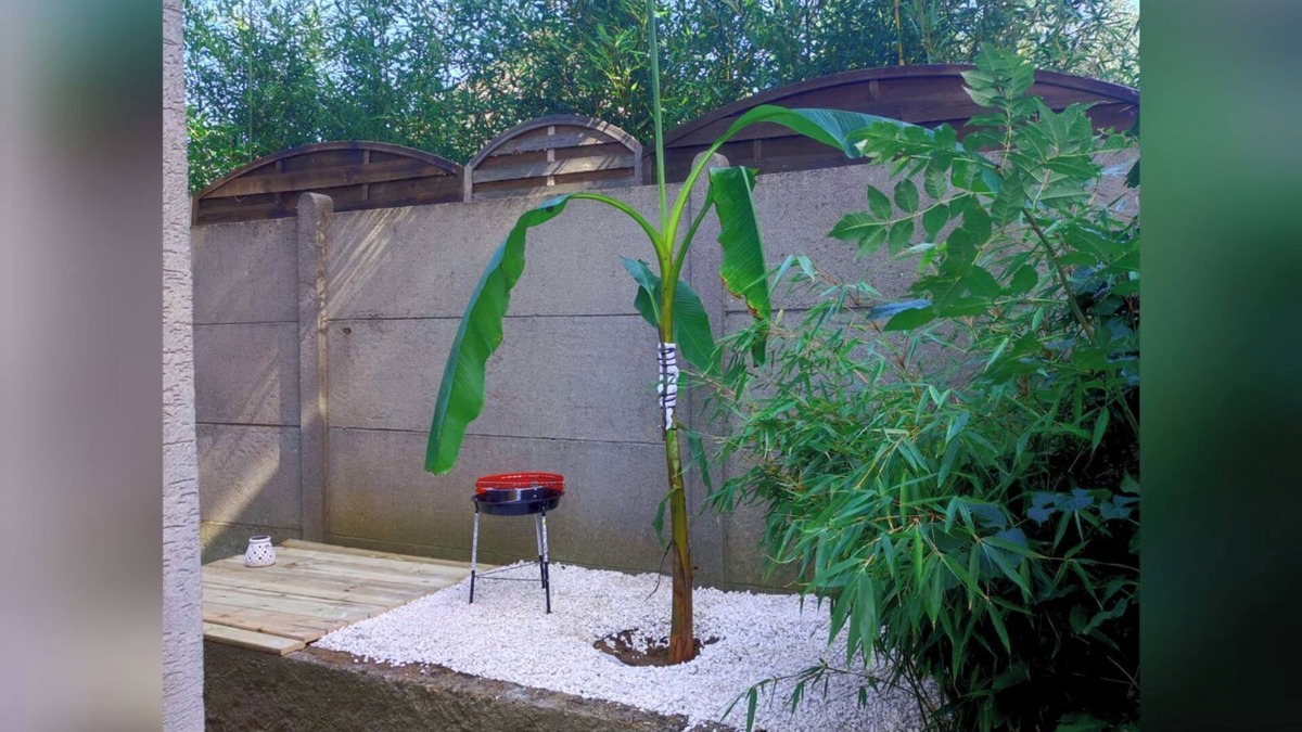Morsang-sur-Orge Apartment | Le Vert Galant