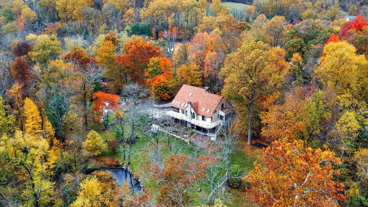 Phoenixville Other | Leaf Peeping at Merlin Creek in Kimberton