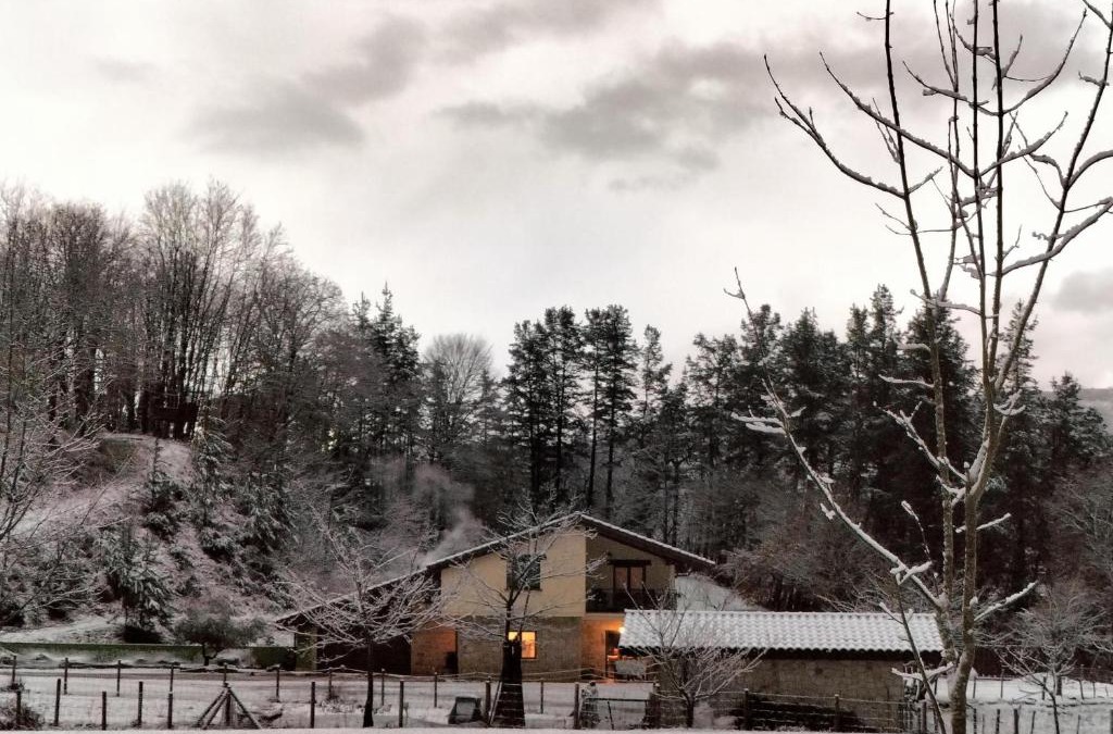 Dima House | Leku eder