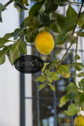 Ostiense Apartment | LEMON SUITES APARTMENTS
