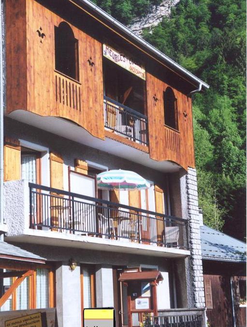 Sixt-Fer-a-Cheval Apartment | LES AVOUDRUZ