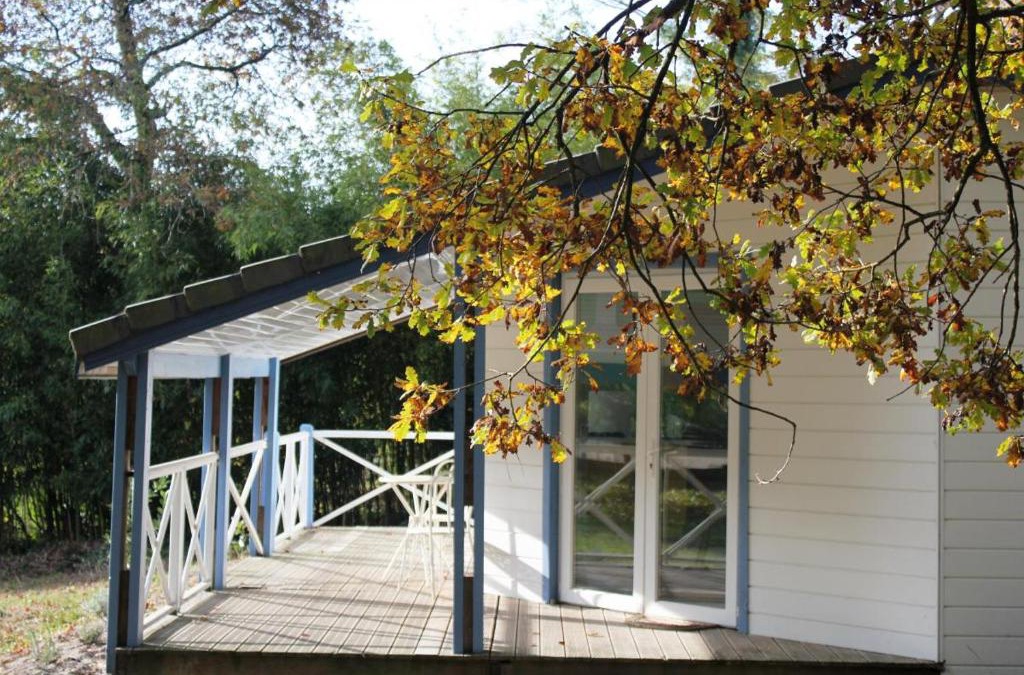 Taller House | Les bambous