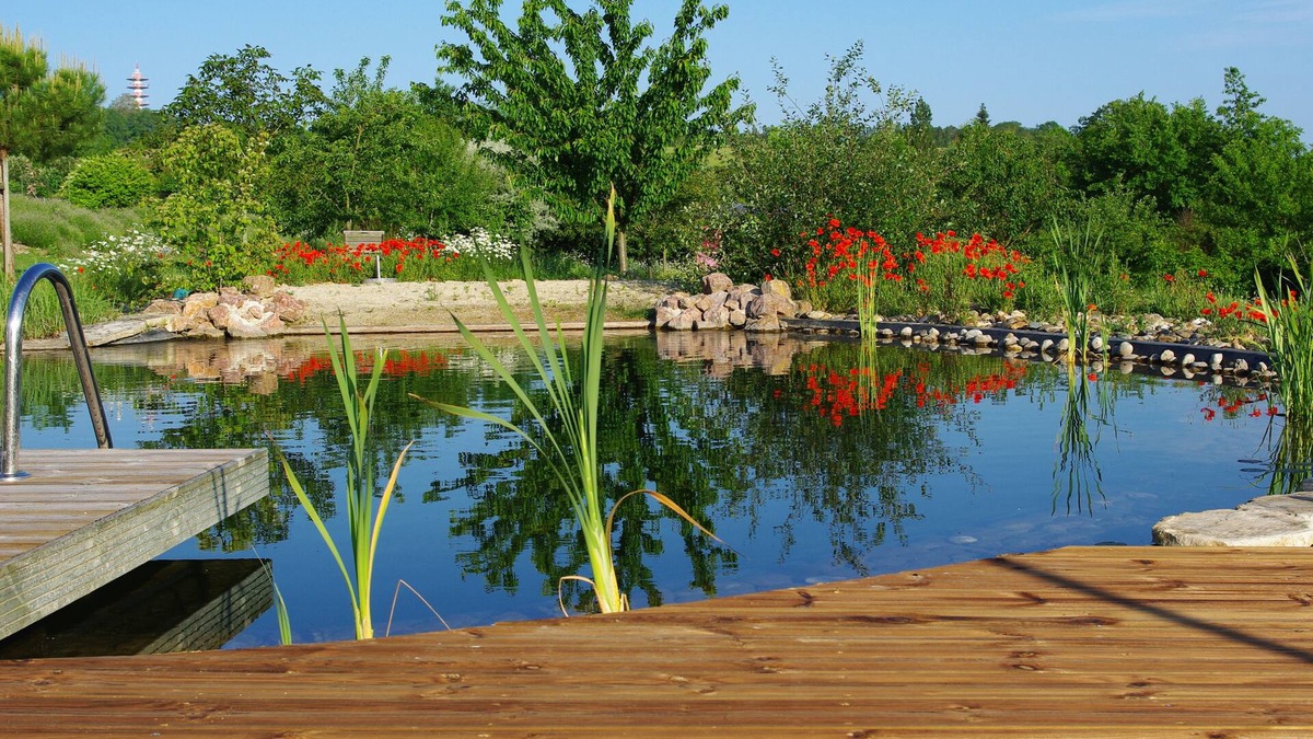 Saint-Leon Cottage | Les bleuets and its natural pool