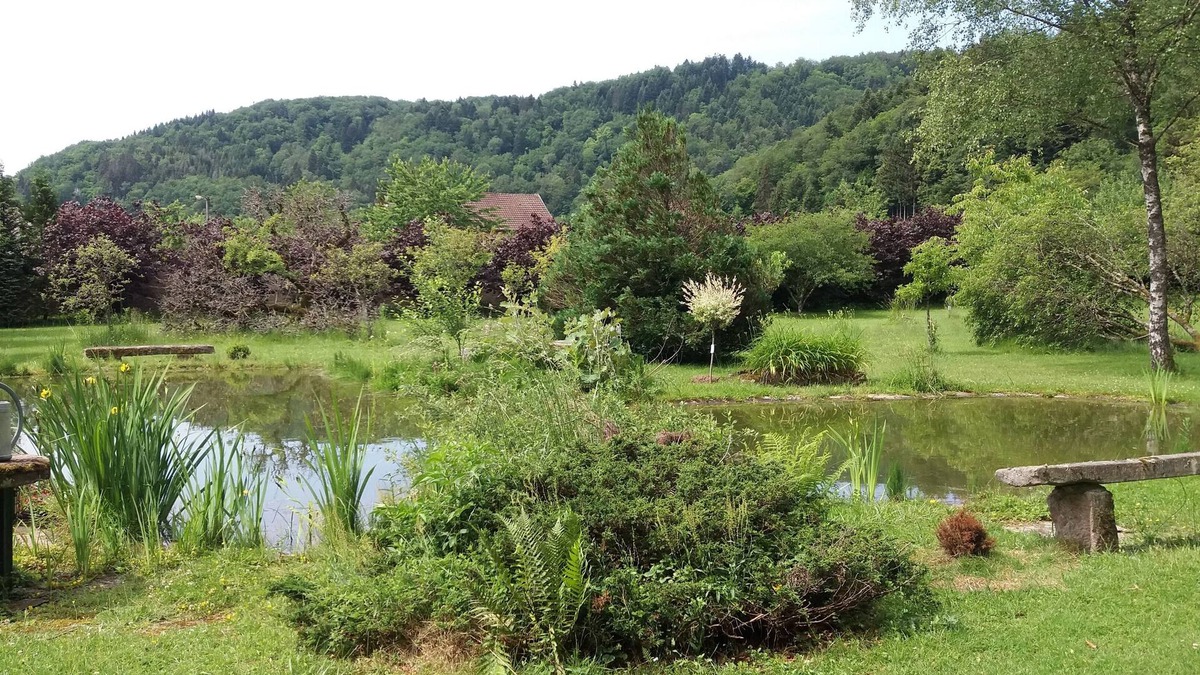 Vallee du Breuchin House | Les capucins guest house