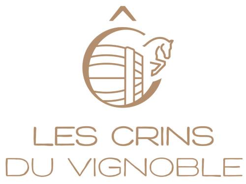 Loches-sur-Ource House | Les crins du vignoble