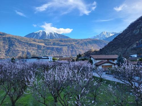 Martigny House | Les Cubes