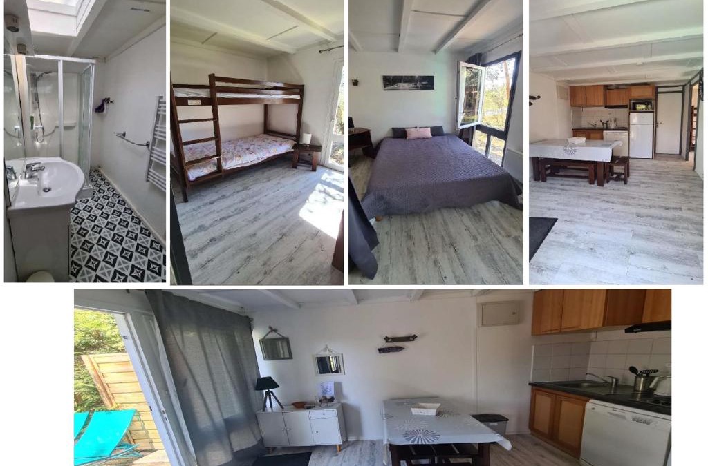 Leon Resort | Les fougères A81 Les villages sous les pins LEON 40550