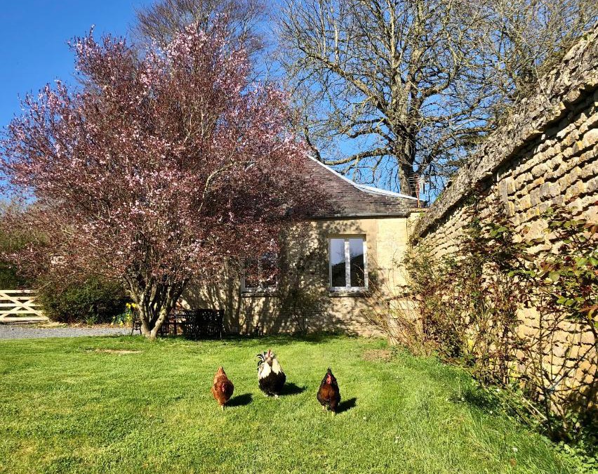Saint-Manvieu-Norrey House | Les Gîtes de la Mare