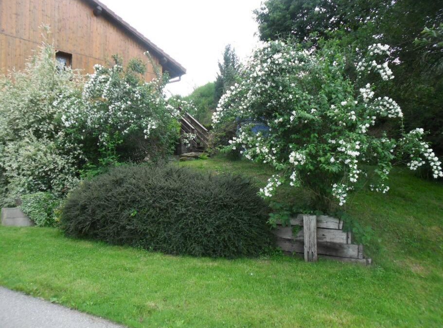 Docelles House | LES GALLINACES