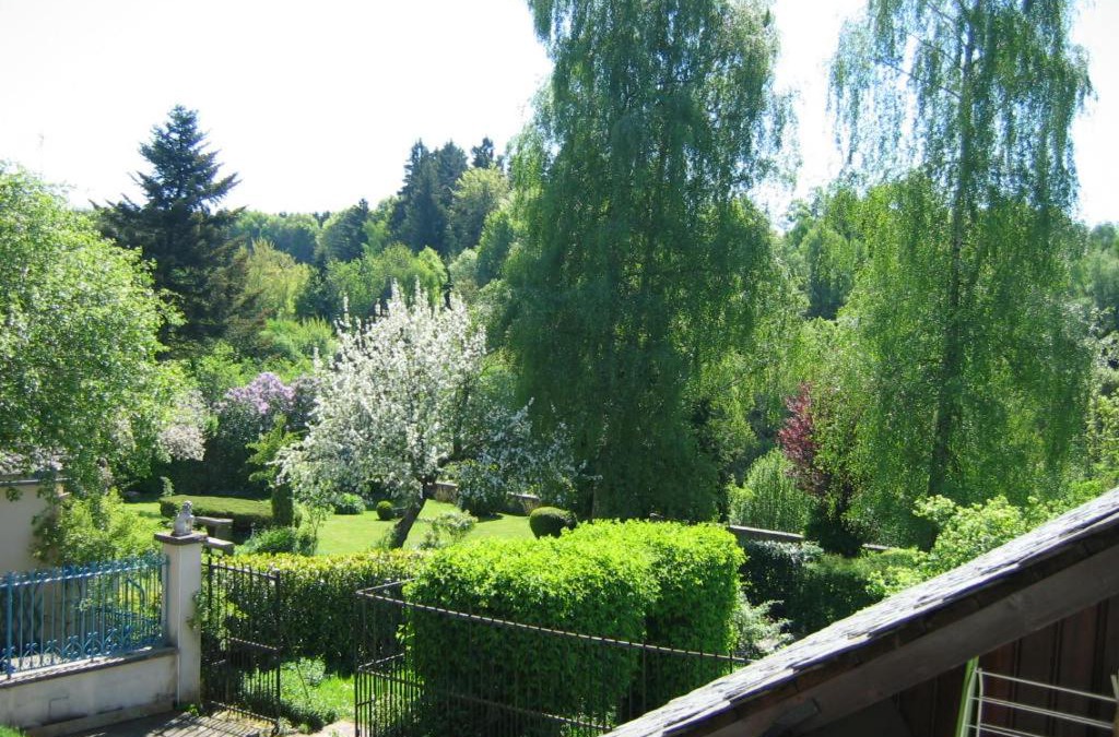Aveze Apartment | LES GITES D'AVEZE Volcan, Sancy, Bourboule