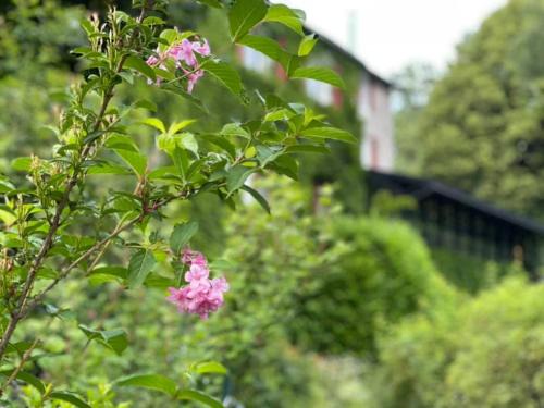 Les Settons Hotel | Les Grillons du Morvan