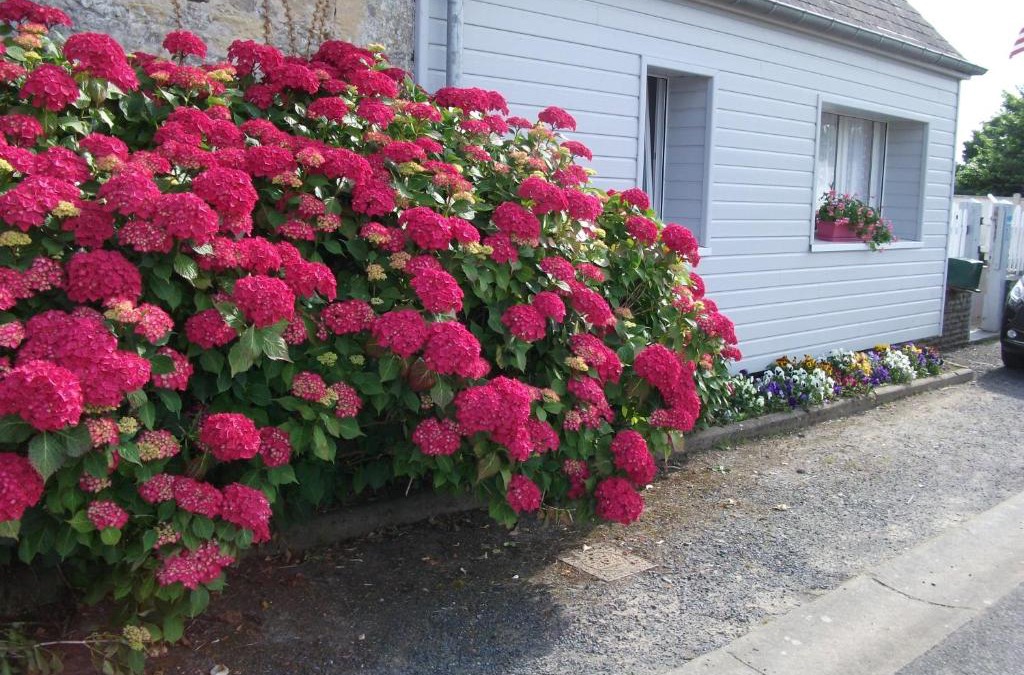 Saint-Laurent-sur-Mer Apartment | Les Hortensias 26