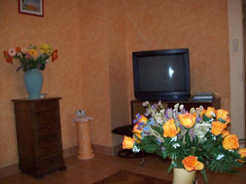 Cosges House | les hortensias