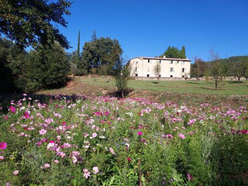 Saint-Jean-du-Gard House | Les Jardins de Falguière