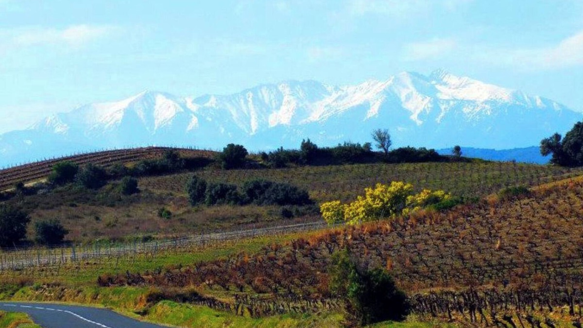 Paziols House | Les Lavandières, village house in the heart of Cathar country