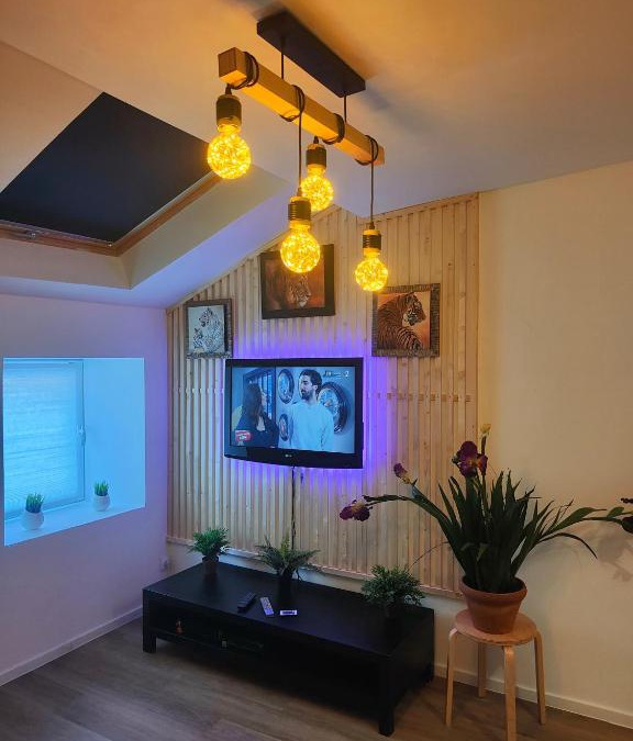 Provins Apartment | Les Lofts De Provins: Apt 1