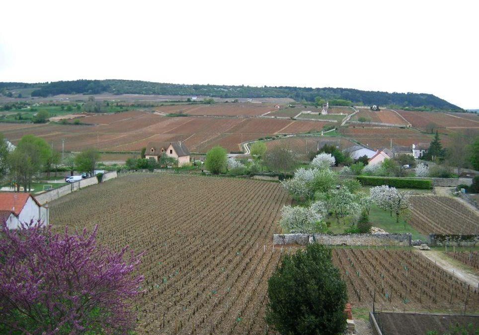 Meursault House | Les Meix sous le Château