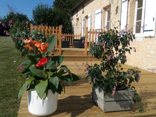 Le Pin-la-Garenne House | Les Merisiers
