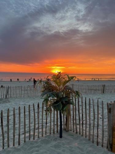 Fort-Mahon-Plage Apartment | Les Obiones, vue latérale mer, Fort Mahon Plage, magnifique studio cabine 4p, avec balcon , parking privé gratuit, wifi, classé 2 étoiles, exposition plein sud en Baie de Somme