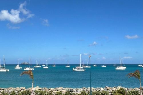 Marigot Apartment | Les Paletuviers
