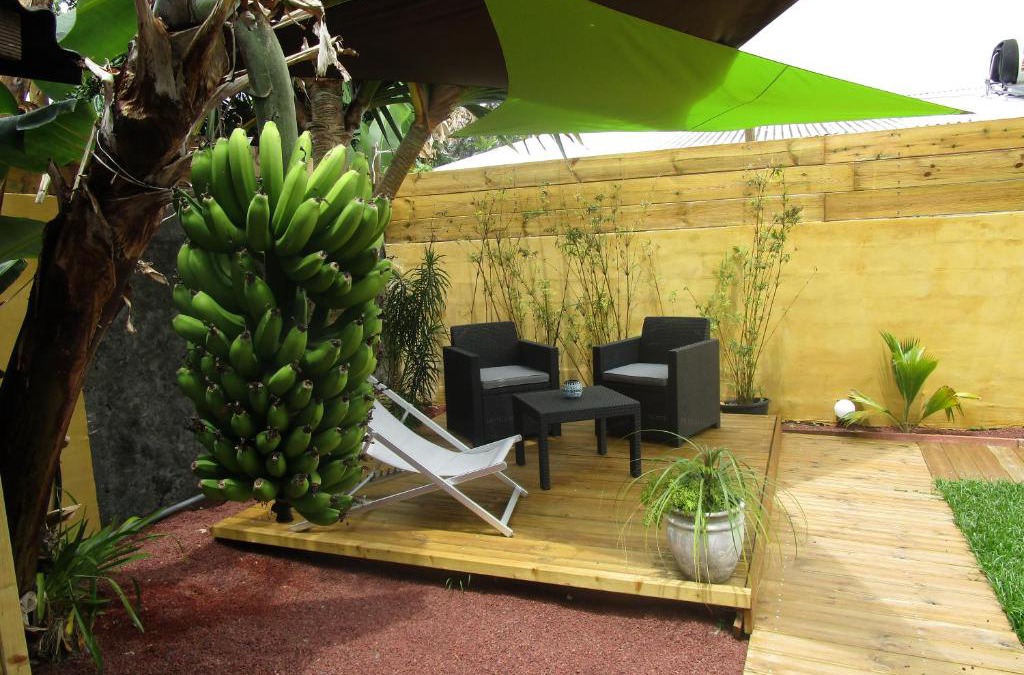 Le Tampon House | Les Palmiers verts