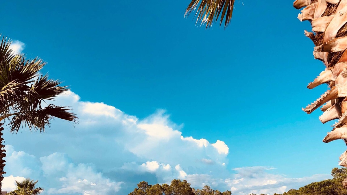 La Bouverie Apartment | Les Parasols d'Argens