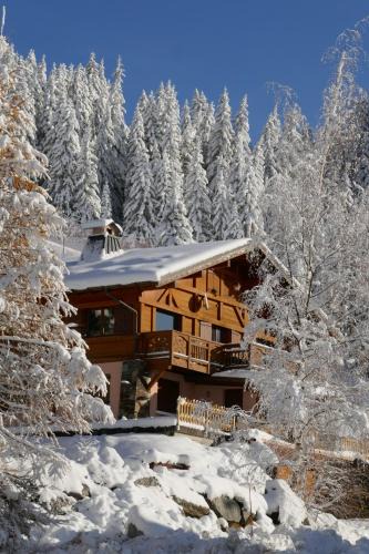 Les Saisies Apartment | Les Saisies côté Bisanne appartement dans chalet LE Népal