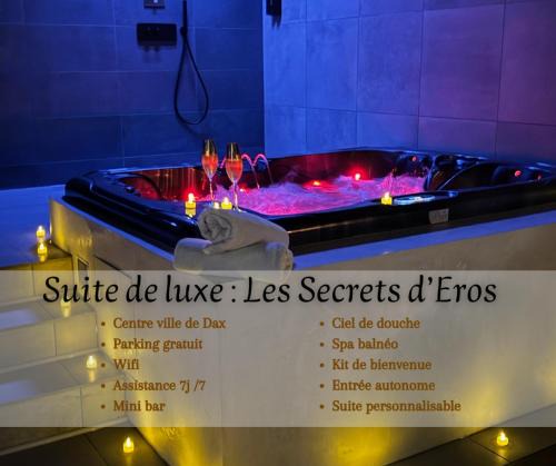 Dax Apartment | Les secrets d'Eros - DAX