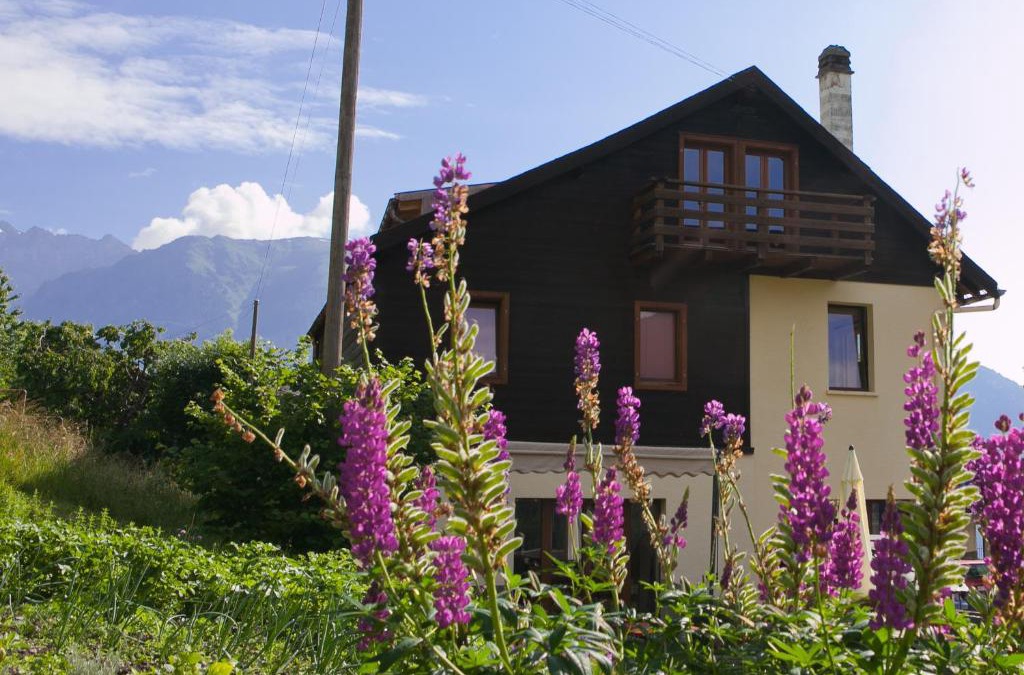 Salvan Apartment | Les Soldanelles