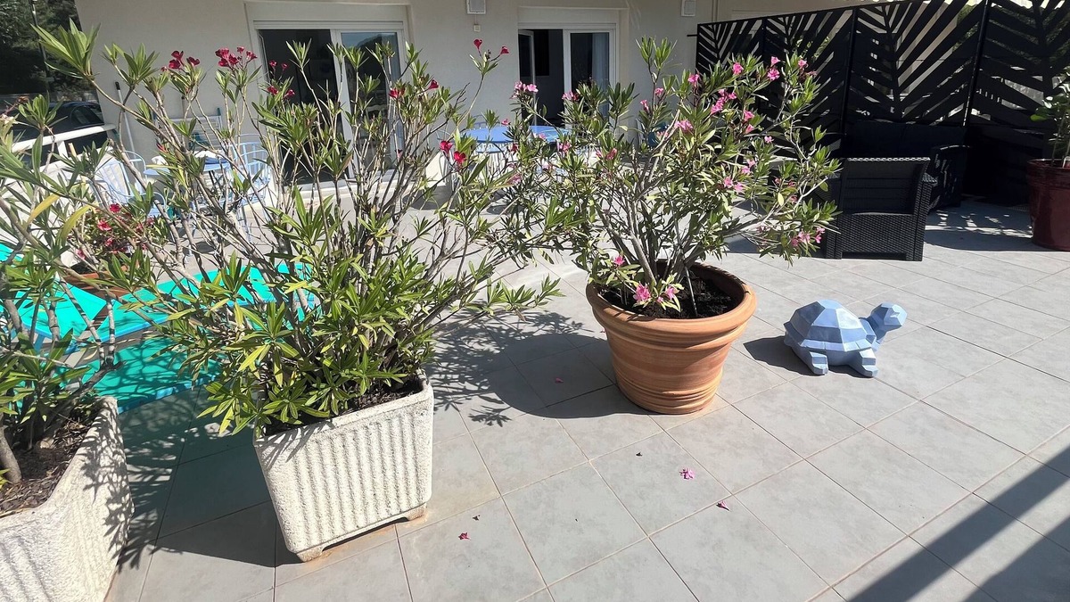 Cavaliere Apartment | LES Vacances Sans Voiture à 200 Mètres de la Plage, Près des Commerces au Calme