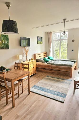 Hamry Apartment | Lesní apartmán Hamry