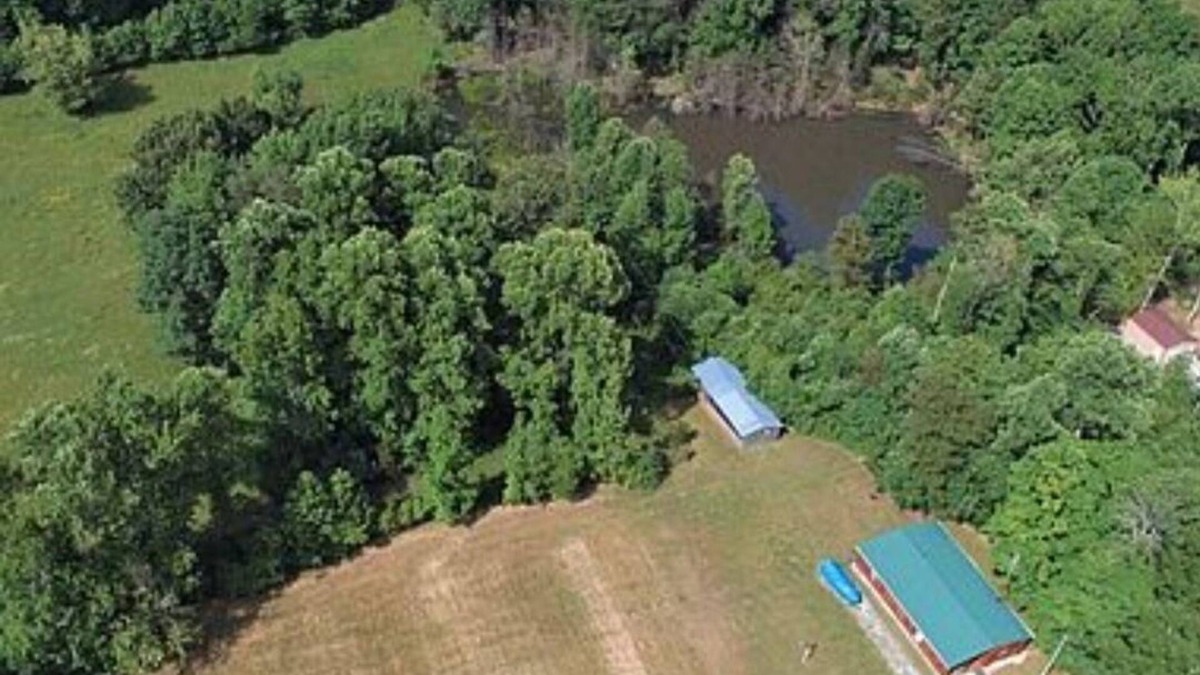 Frogue Cabin | Less than 1 mile from Dale Hollow State Park Marina. Private pond for fishing.