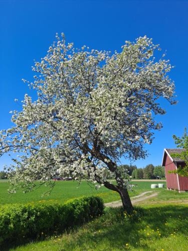 Ypaja House | Levomäki Farm Cottages