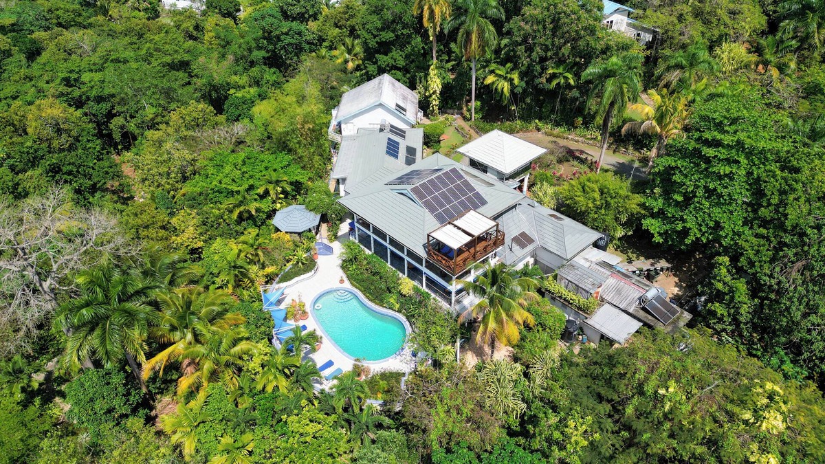 Drapers Hotel | LF Jungle Retreat