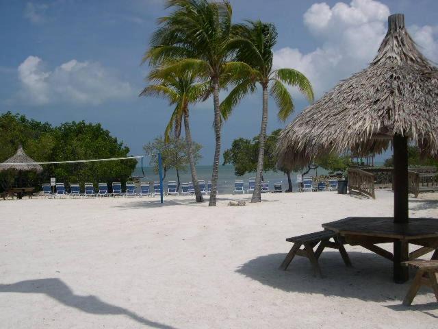 Tavernier House | LICENSED MGR - MODERN OCEANFRONT - OCEAN VIEWS CONDO! BAR and BEACH RESORT!