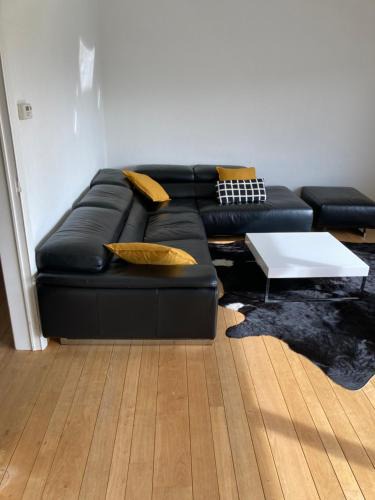 Merksem Apartment | Lichtrijk mooi appartement met zicht op hof van Roosendael