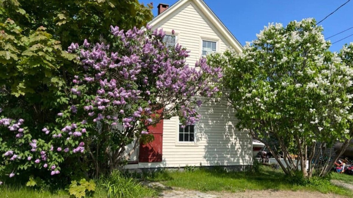 Vinalhaven House | Lilac Cottage a Little Gem on Cottage Street