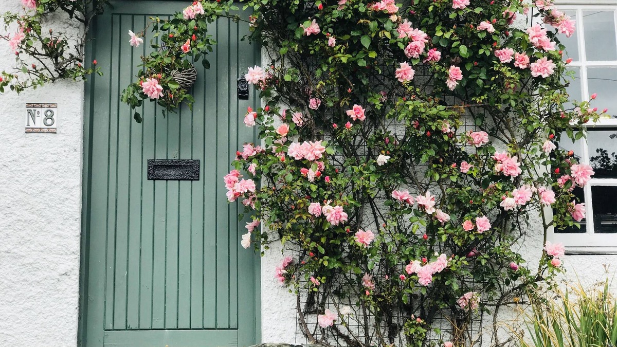 Greyabbey Cottage | Lilac Tree Cottage, Greyabbey, Strangford Lough, Co Down, N.Ireland