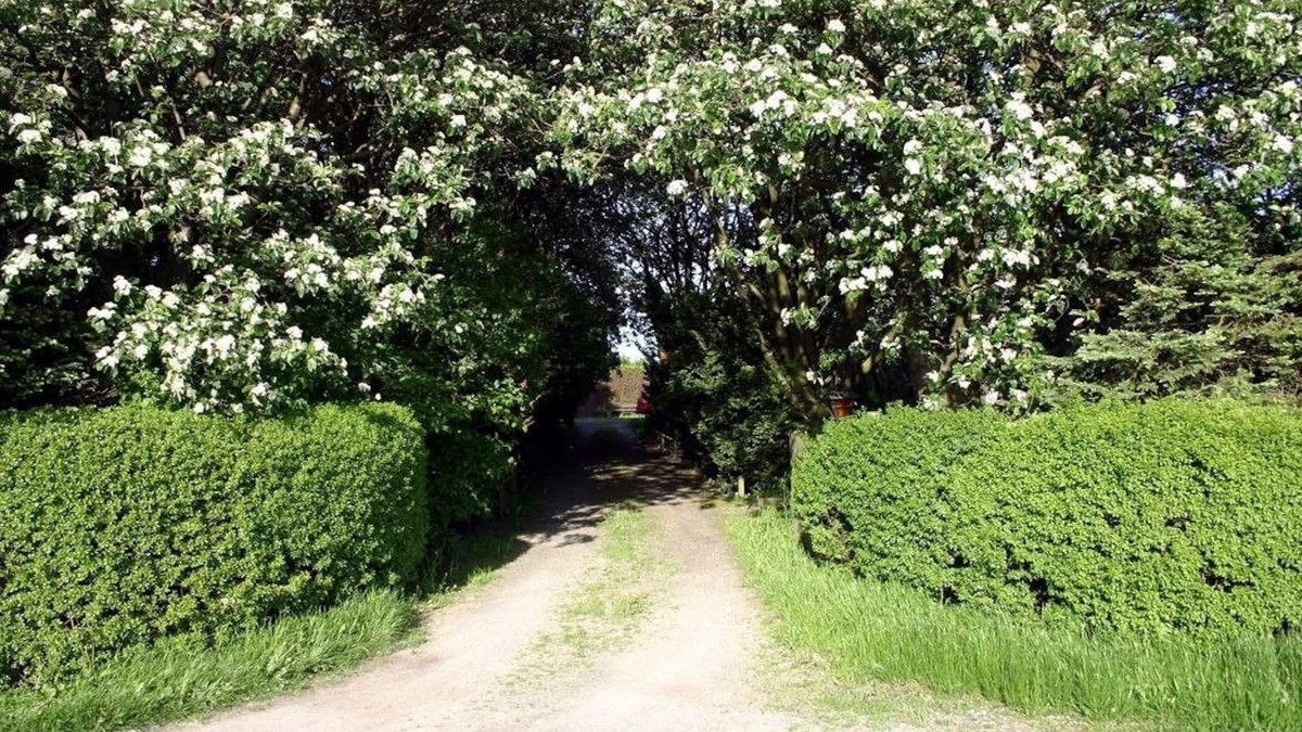 Lund Bed & Breakfast | Lilla Huset på slätten B&B