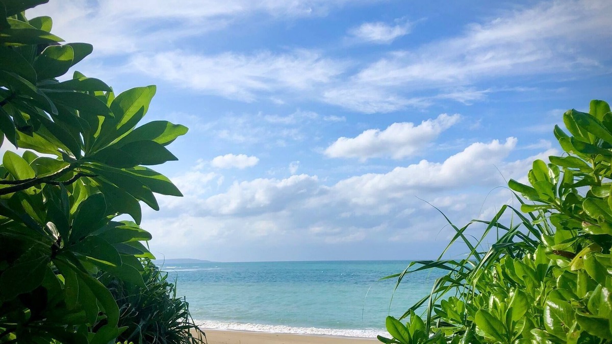 Kijoka House | Limited to one group per day 1 minute walk to th /Kunigami-gun Okinawa