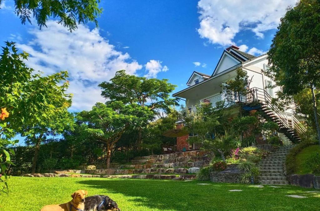 Dongshi District Villa | Lin Qi in my heart Villa